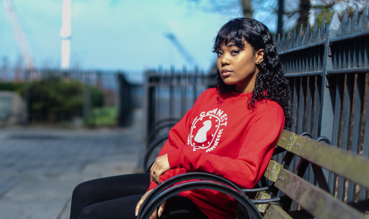 Unisex Red Sweater